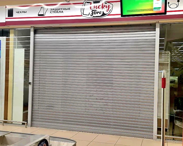 Роллетные ворота DoorHan в Лобне с установкой