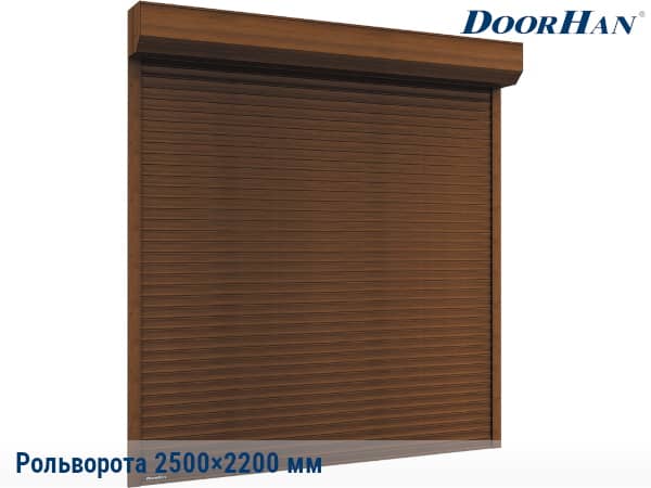 Купить рольворота ДорХан 2500×2200 мм в Лобне от 103920 руб.